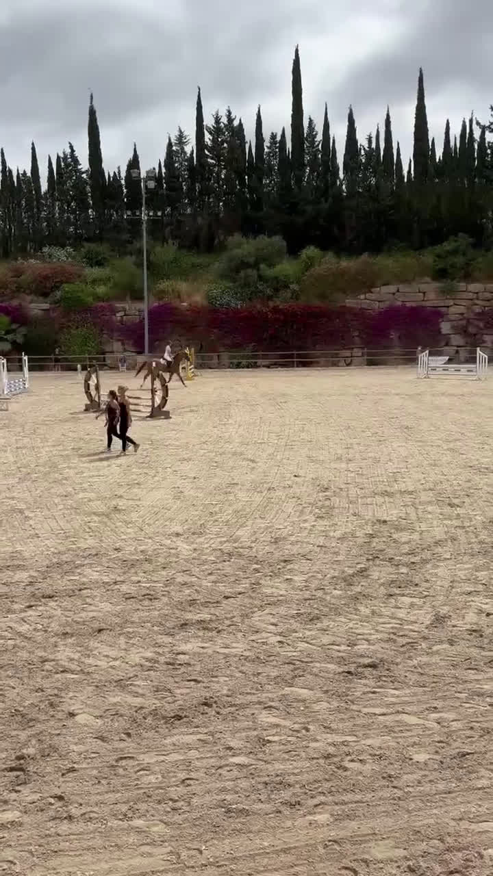 Hoppning hästar till salu: Fin valack med kapacitet  i Arlandastad - Video 1