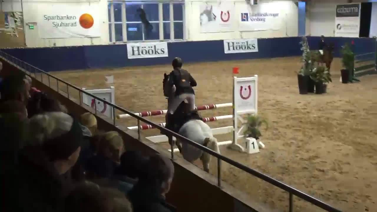 Hoppning hästar till salu: ⭐️Dolce Vita⭐️ - Video 1