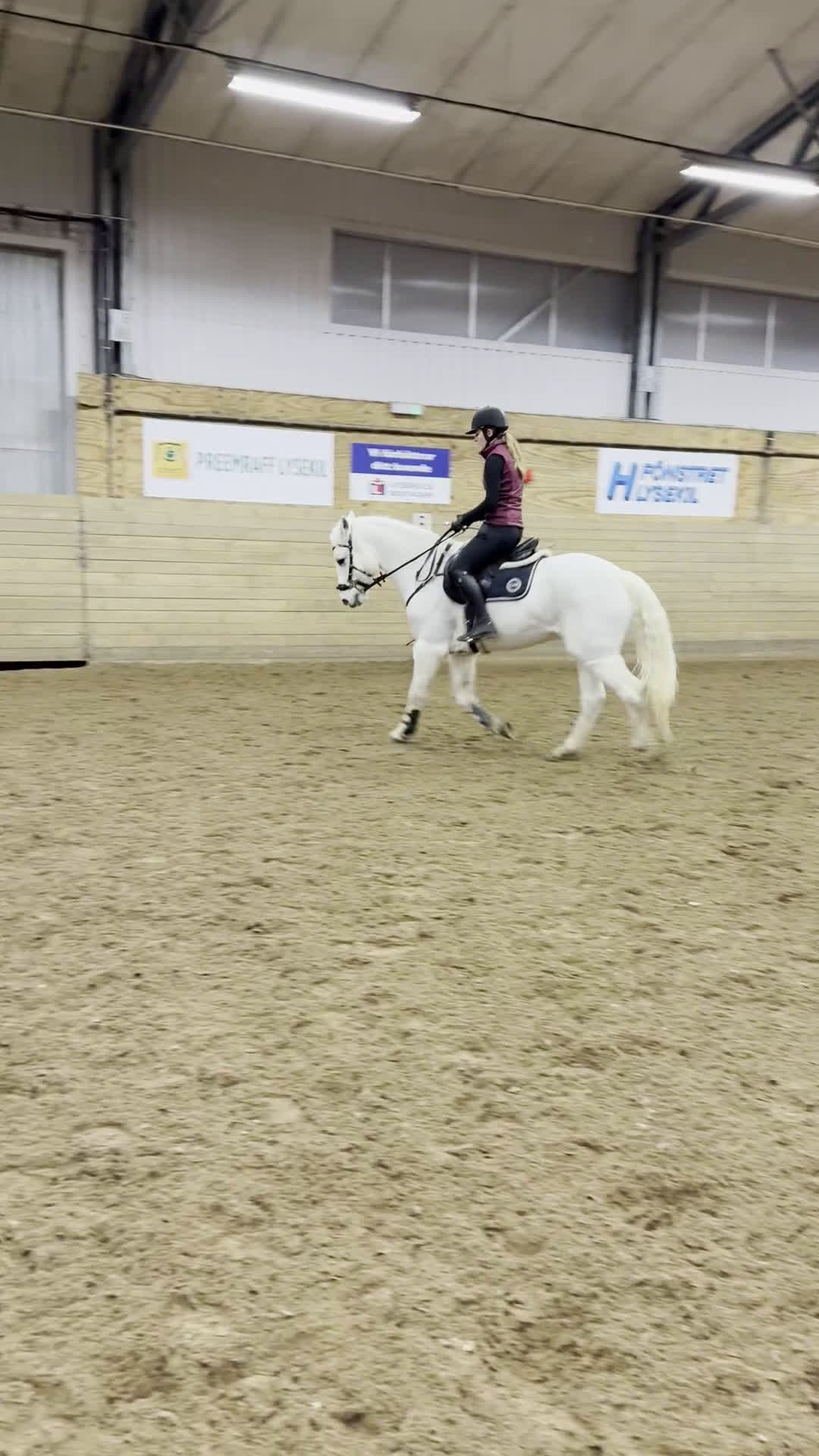 Allround hästar till salu: Snäll valack i Lysekil - Video 1