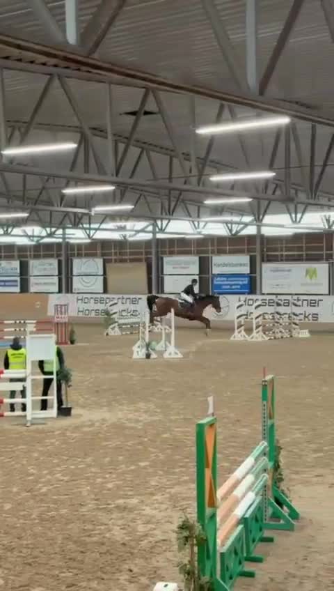 Hoppning hästar till salu: 🌟 SWB HOPPHÄST 🌟 - Video 2