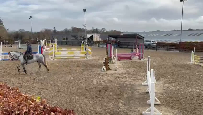 Allround hästar till salu: Irish sport horse  i Göteborg - Video 4