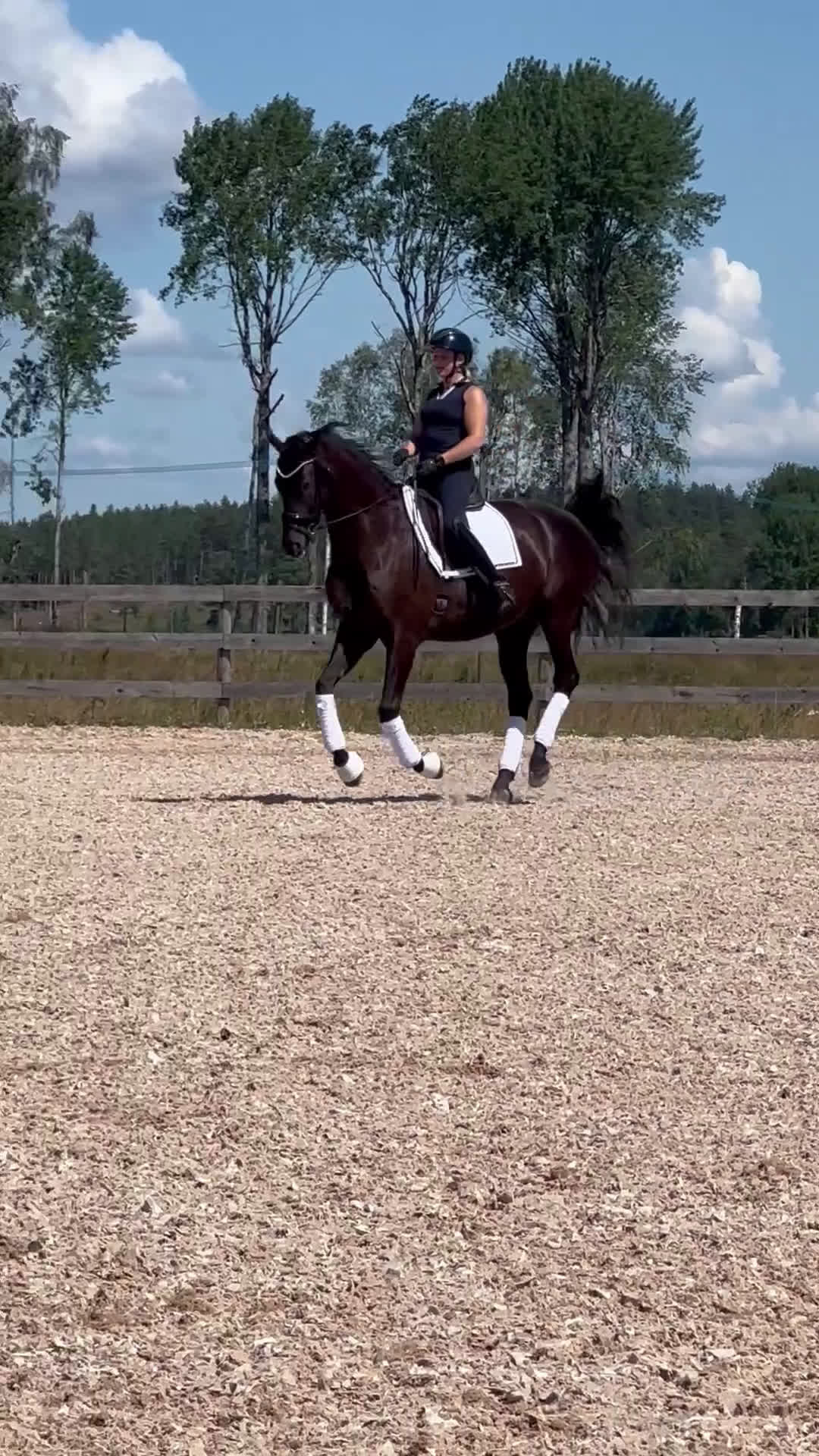 Dressyr hästar till salu: Den perfekta läromästaren i Nyköping - Video 1