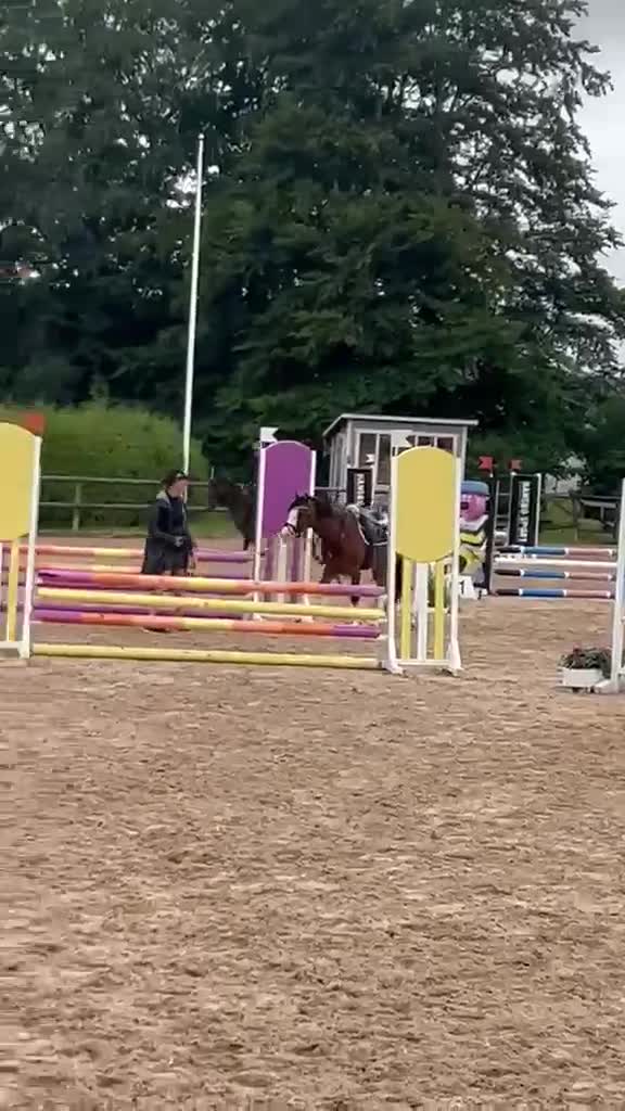 Hoppning hästar till salu: Trevlig B-ponny - Video 2