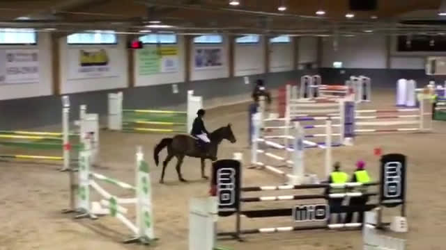  medryttarhäst sökes: Medryttarhäst sökes - Video 1