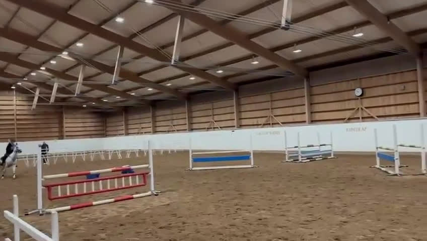 Hoppning hästar till salu: Drömponnyn Vera till salu! - Video 4