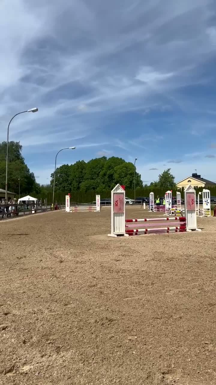 Allround hästar till salu: Världens bästa ponny! - Video 3