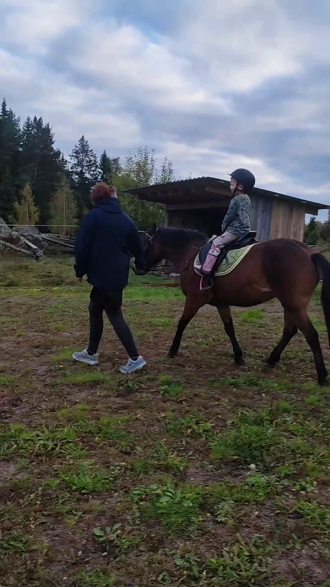 Allround hästar till salu: Härligt Gotlandsruss  - Video 2