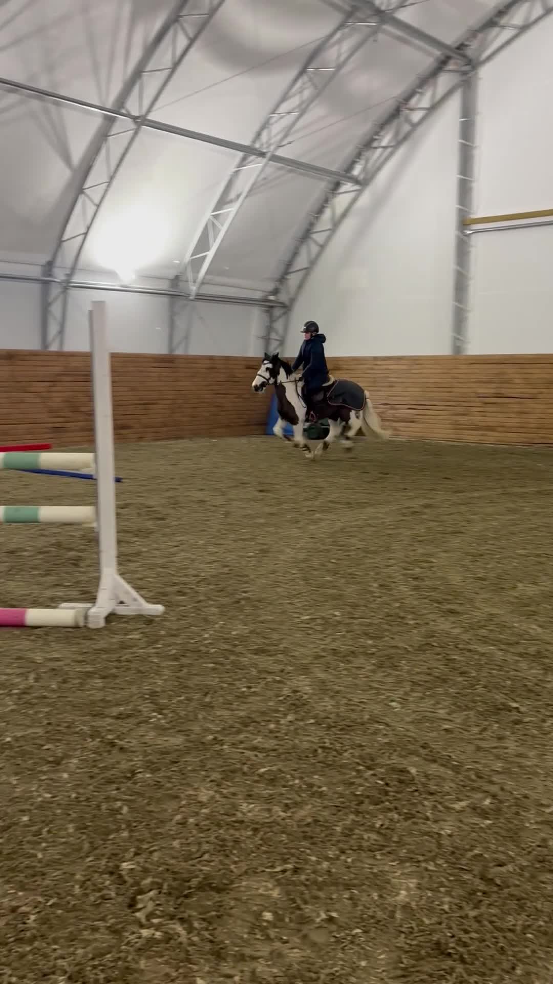 Hoppning hästar till salu: Maxad B ponny  - Video 1