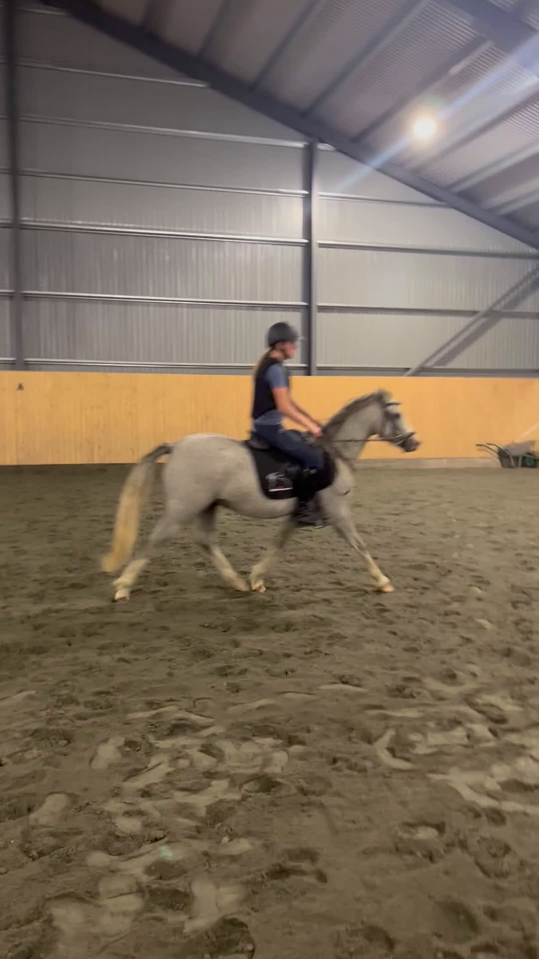 Hoppning hästar till salu: Ponny för framtiden, nedsatt pris! i Vara - Video 1