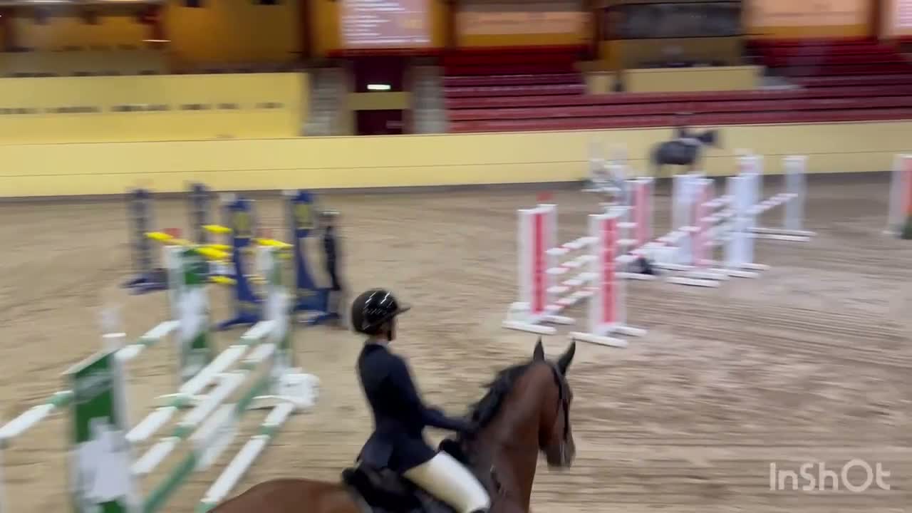 Hoppning hästar till salu: Snäll hopphäst säljes  i Harlösa - Video 1