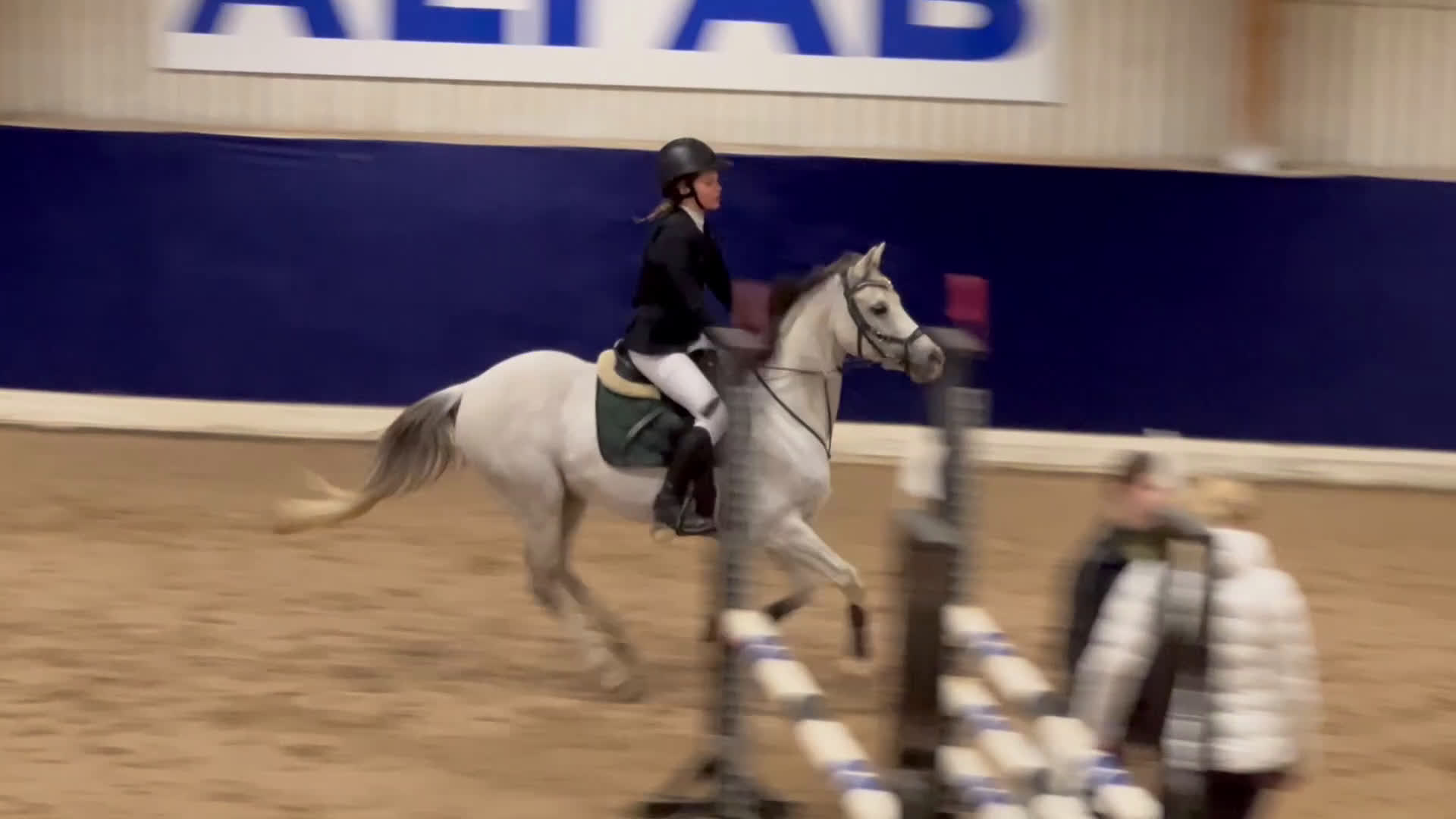 Allround hästar till salu: Mångsidig C-ponny i Älvkarleby - Video 2