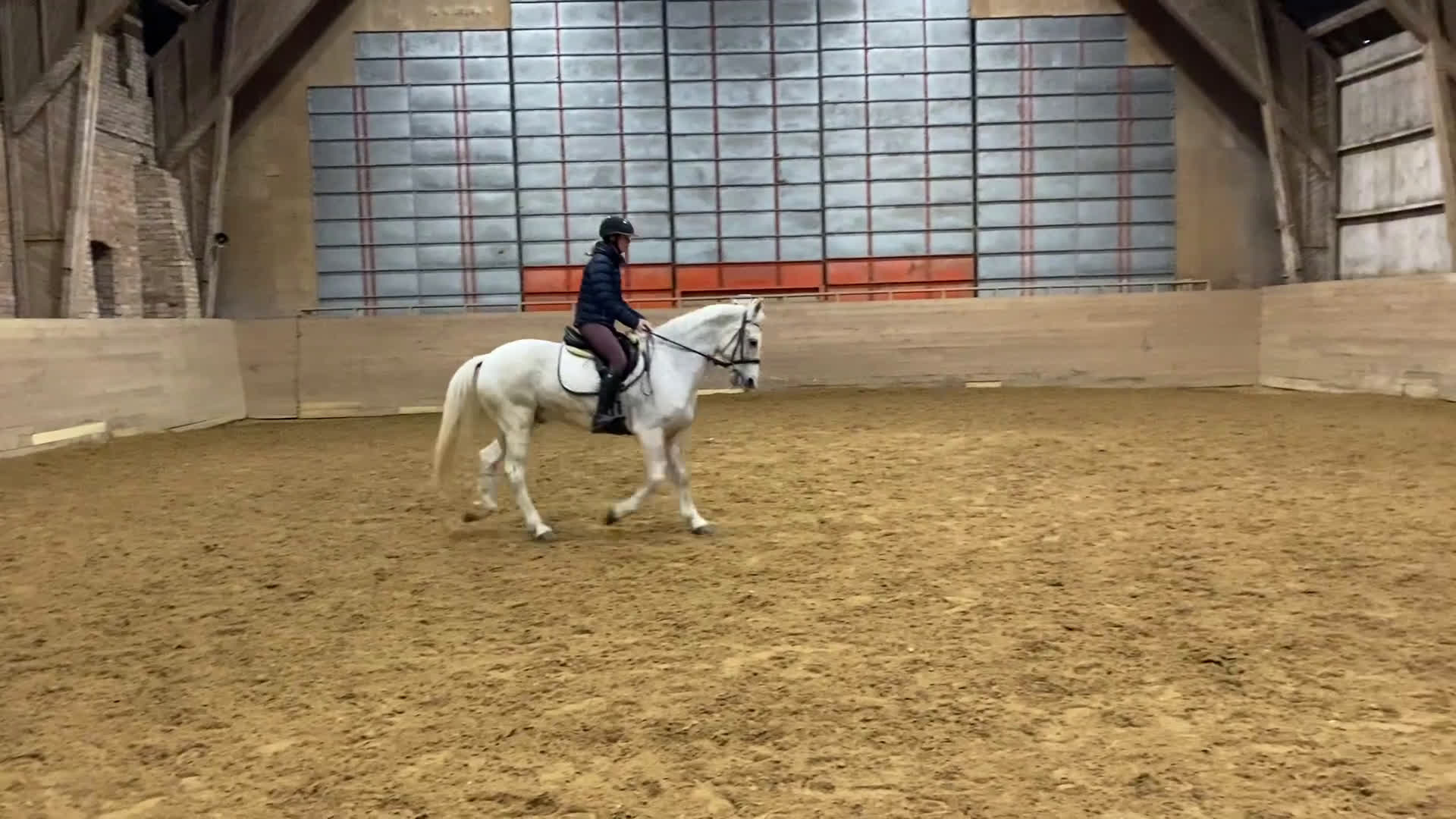 Hoppning hästar till salu: Kul D-ponny som älskar livet!  i Sturefors - Video 3