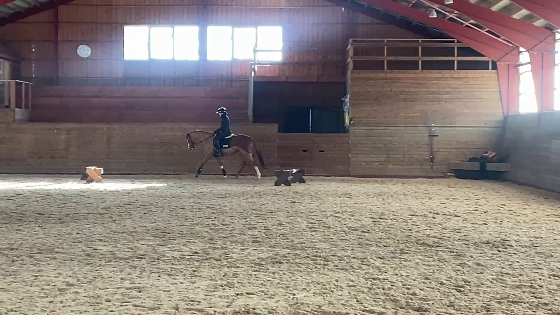 Allround hästar till salu: Trevlig valack 6 år - allround/fälttävlan - Video 3