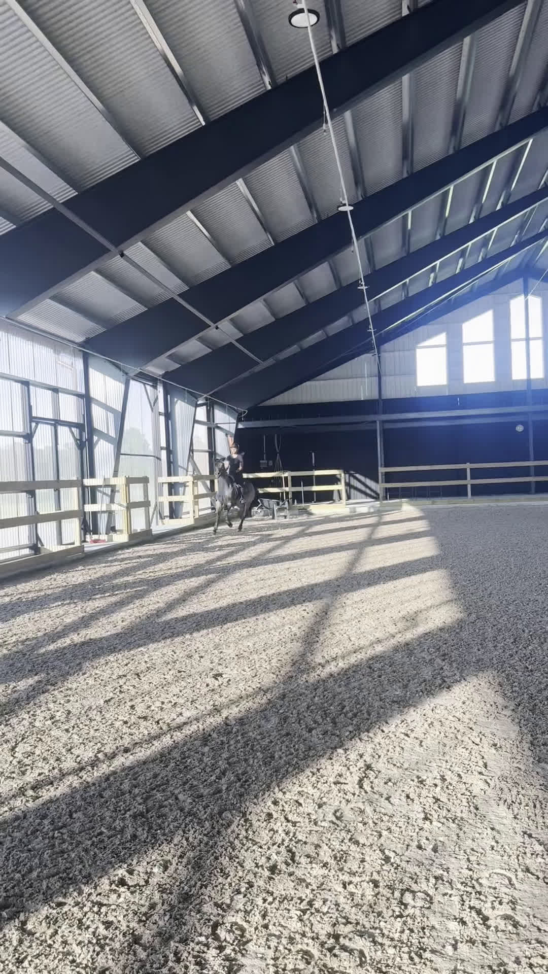 Hoppning hästar till salu: Världens snällaste C-Ponny - Video 3