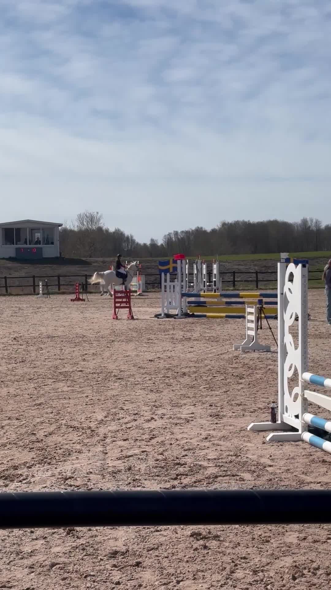 Allround hästar till salu: Underbar D-ponny - Video 4
