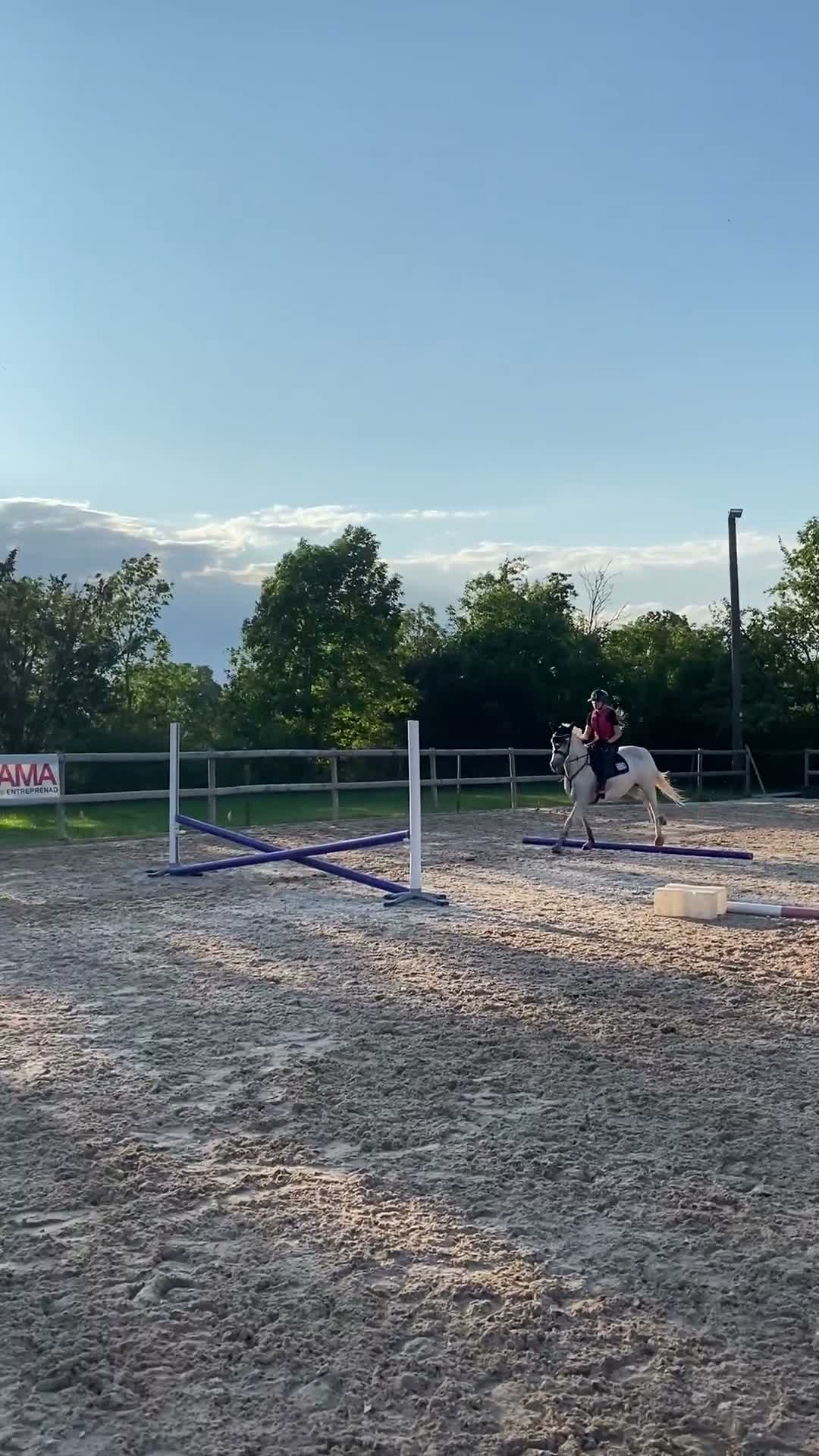 Hoppning hästar till salu: Snällaste Issy söker nytt hem.  - Video 2