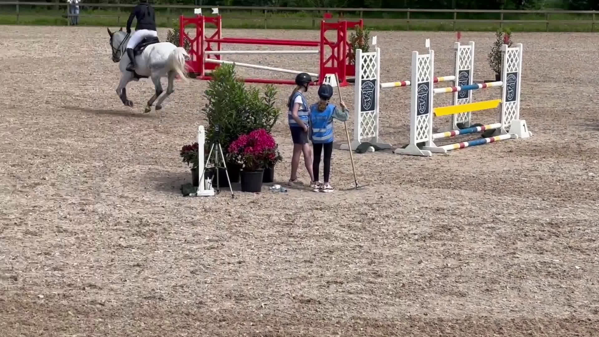 Hoppning hästar till salu: Didrique 6 år e. Casanova Hästak i Vellinge - Video 1