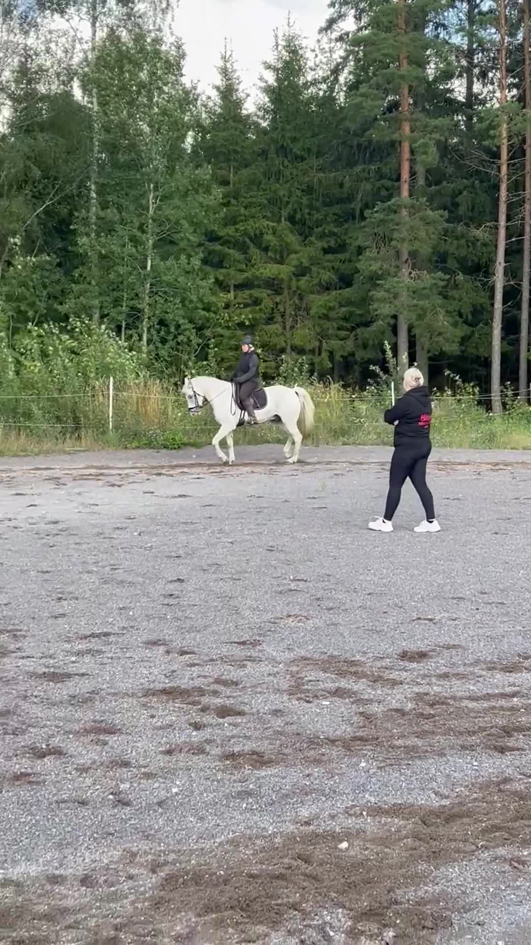 Allround hästar till salu: Trevlig D-ponny - Video 2