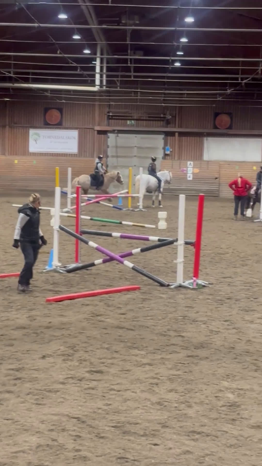 Allround hästar till salu: Bästa vän - Video 1