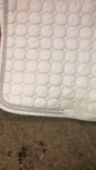 Schabrak & Vojlockar hästutrustning till salu: nästan nytt dressyr schabrak i Vreta Kloster - Video 1