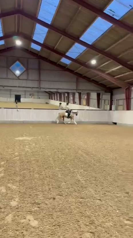 Dressyr hästar till salu: Upcomming FEI pony i Ballerups församling - Video 1