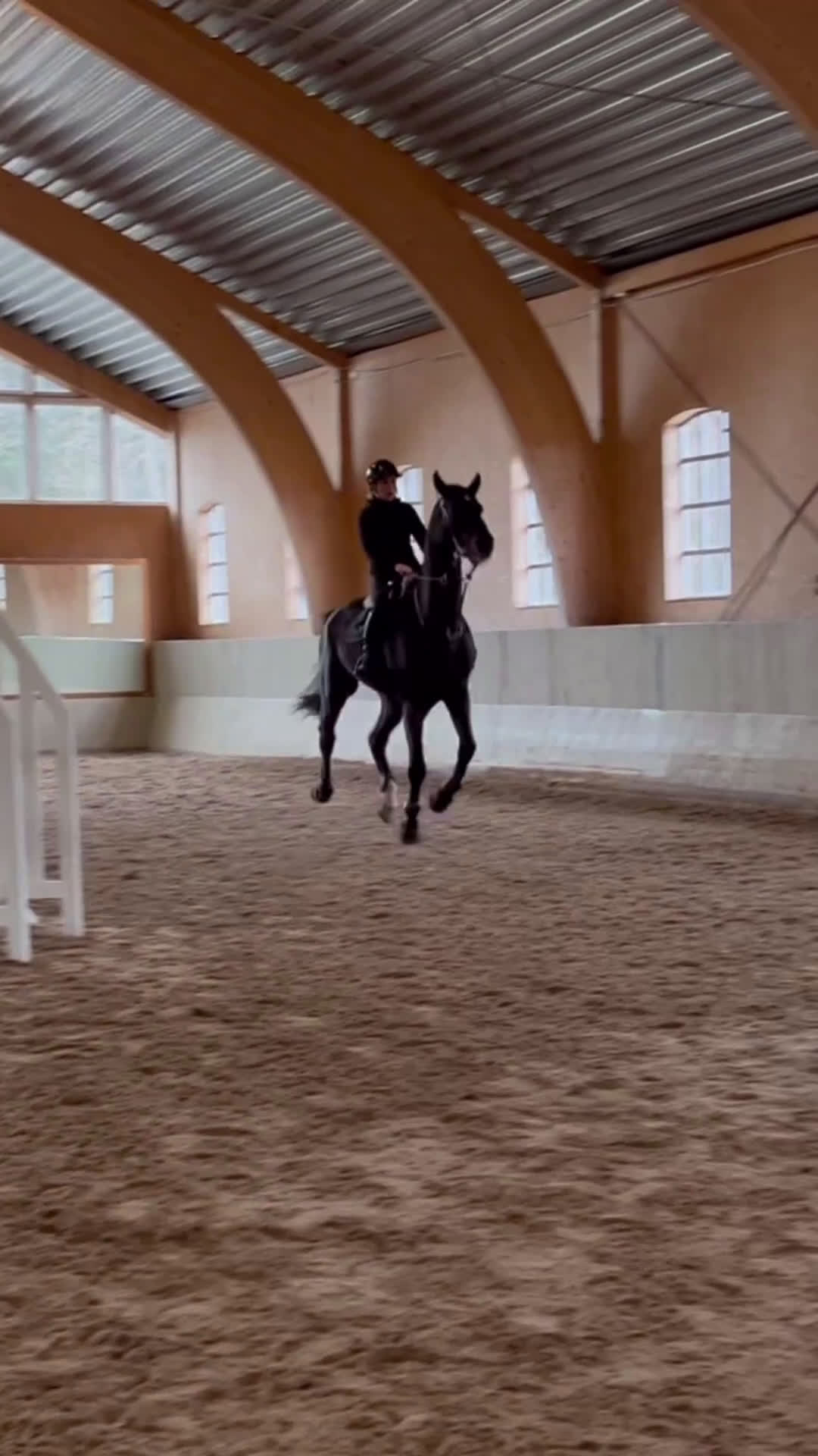 Hoppning hästar till salu: Scopig valack och dressyrämne i ett i Ekerö - Video 1