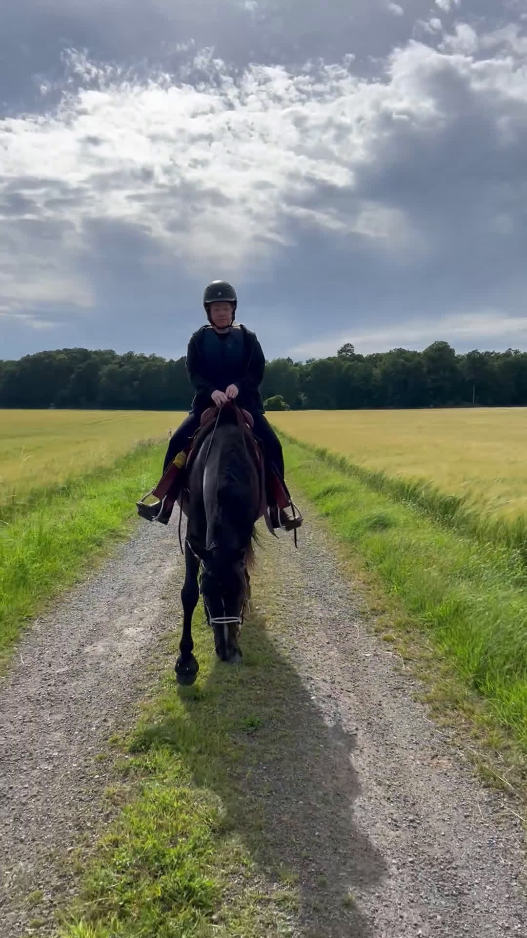 Allround hästar till salu: Världens bästa kille!  i Bräkne-Hoby - Video 1