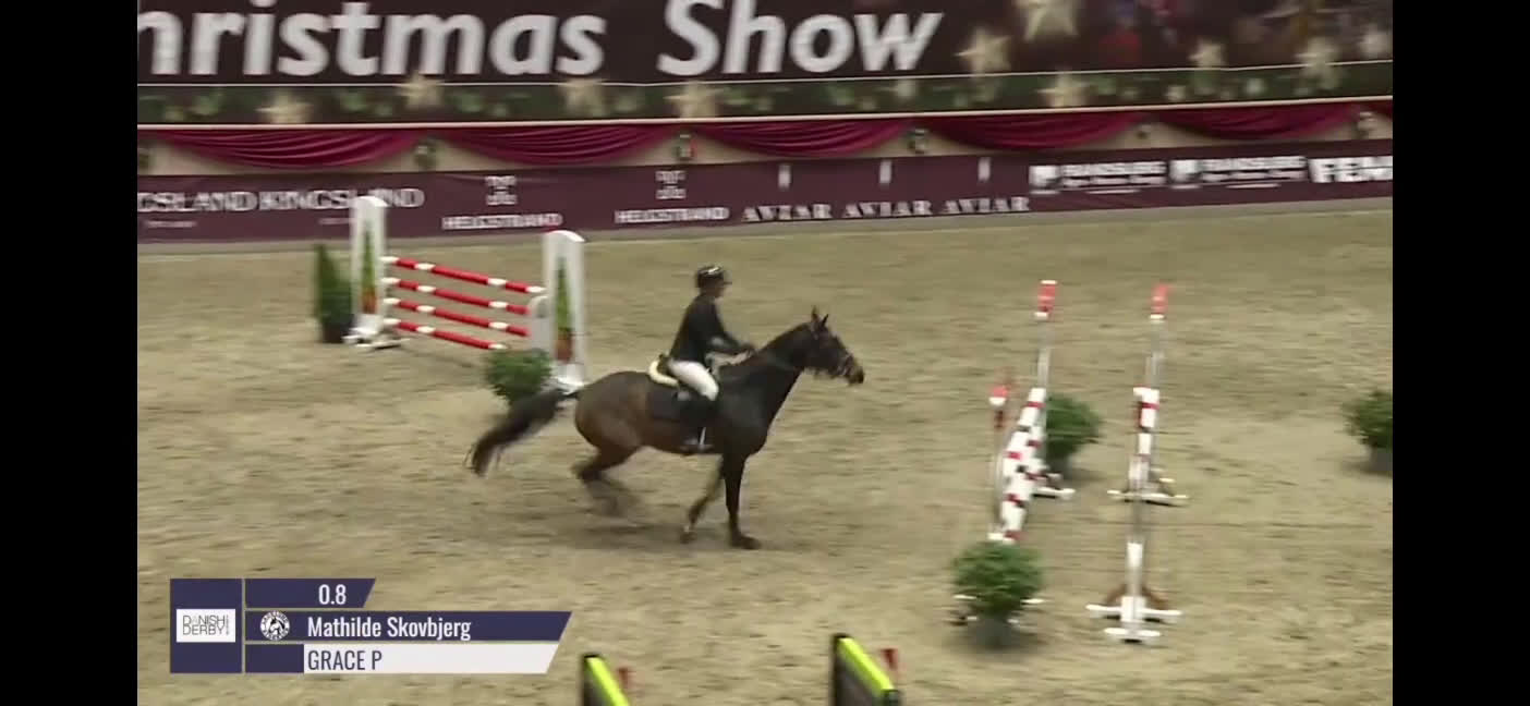 Hoppning hästar till salu: Talentfuld hoppe, med masser af kvalitet - Video 2