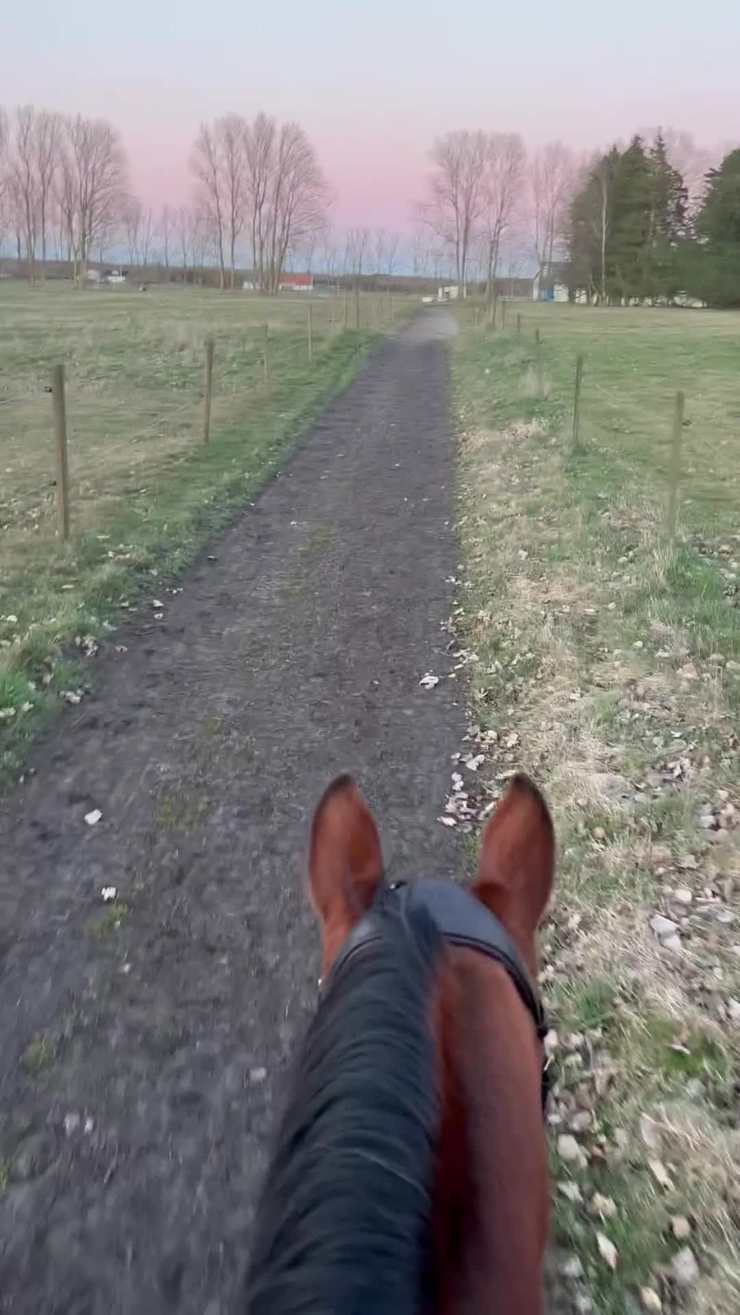  hästjobb finnes: Behöver du hjälp med din häst/ponny? 🫶🏻 i Ystad - Video 1
