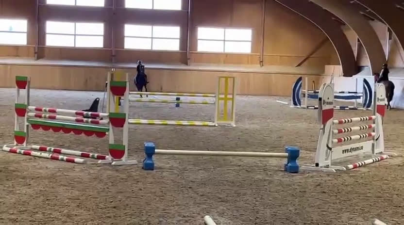 Hoppning hästar till salu: Svensk ridponny e.Converse All Star - Video 2