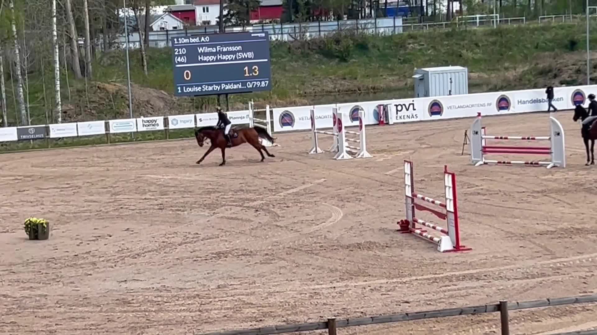 Hoppning hästar till salu: Hopphäst med med mycket kapacitet ⭐️ - Video 3