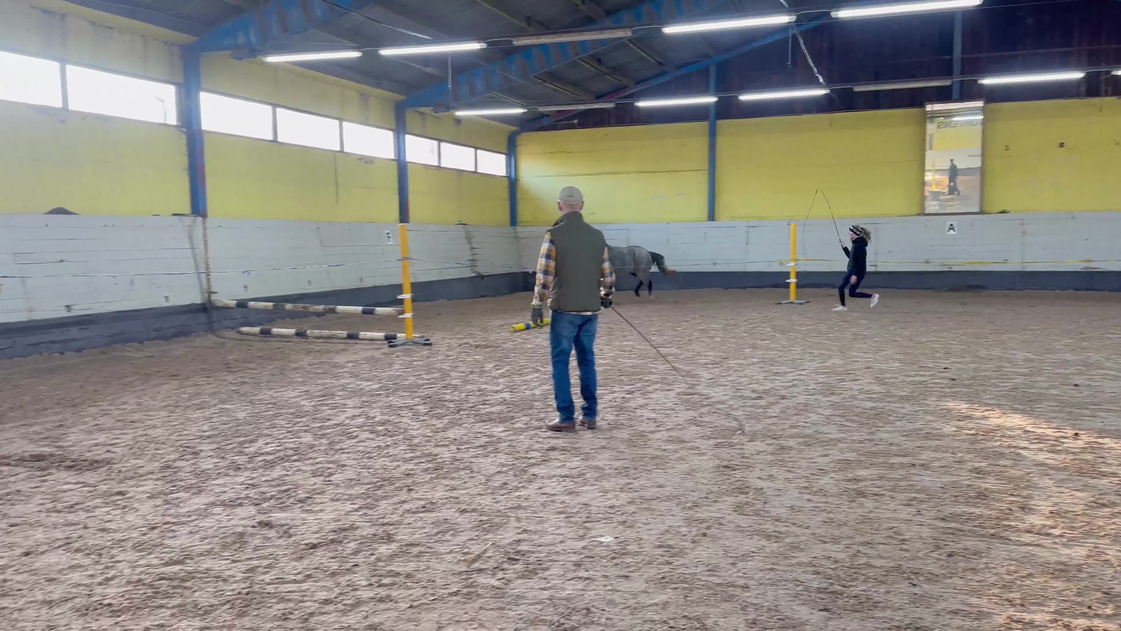 Hoppning hästar till salu: Framtida tävlingsponny🤩 - Video 1