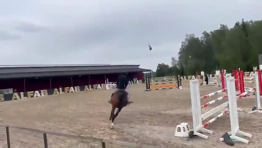 Hoppning hästar till salu: Drömhästen! - Video 2