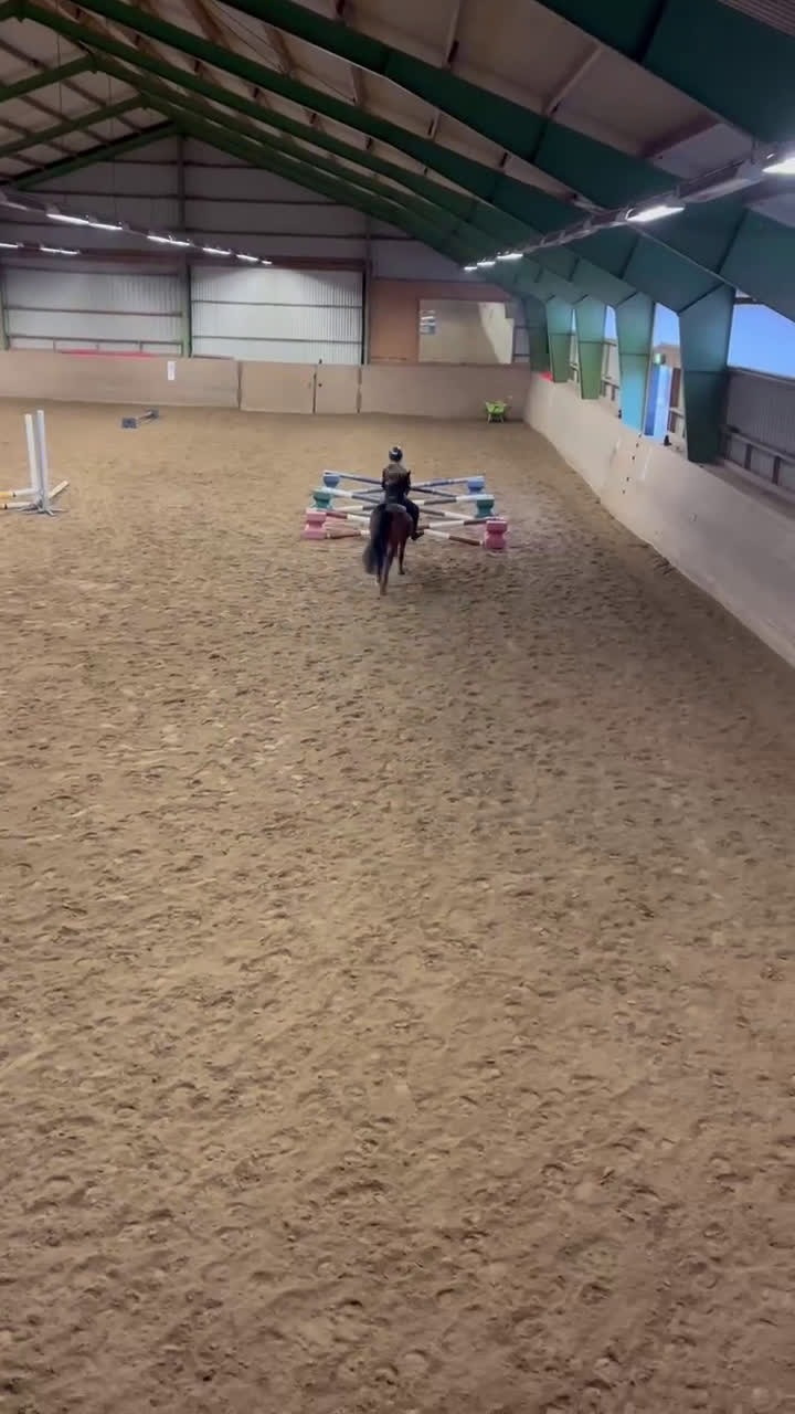 Allround hästar till salu: Vacker Maxad Allround B-ponny - Video 4