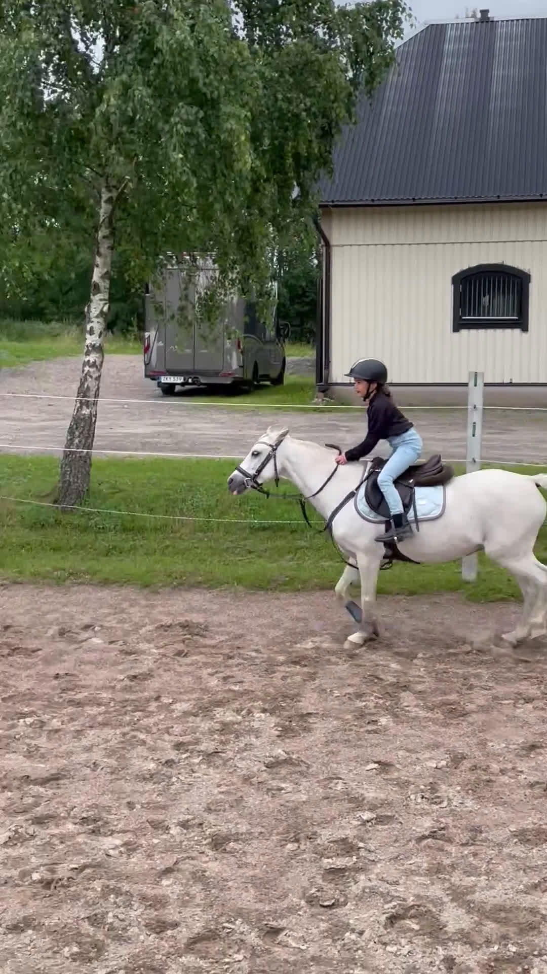 Allround hästar till salu: Allsidig ponny  i Lerum - Video 2