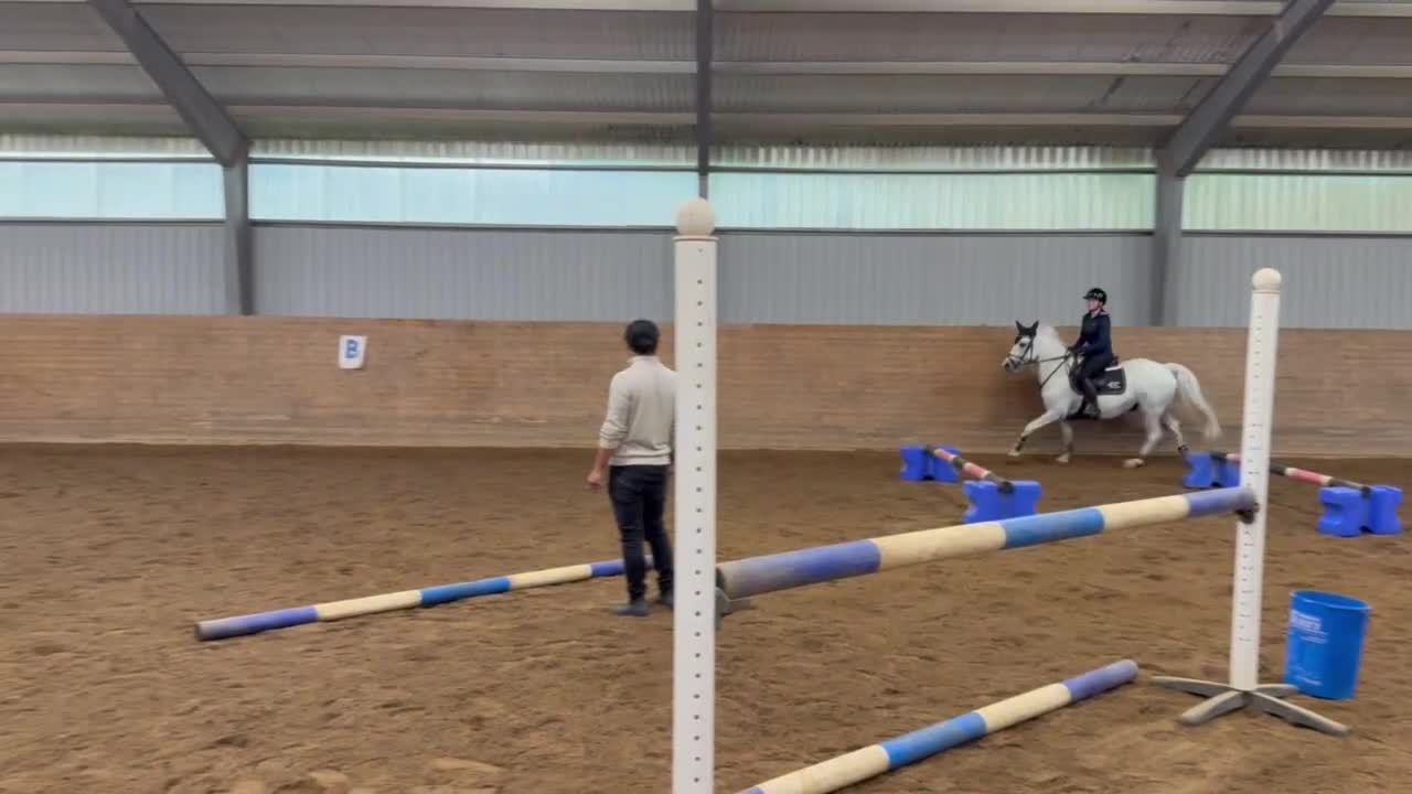 Allround hästar till salu: Snäll och rolig D-ponny valack till salu - Video 3