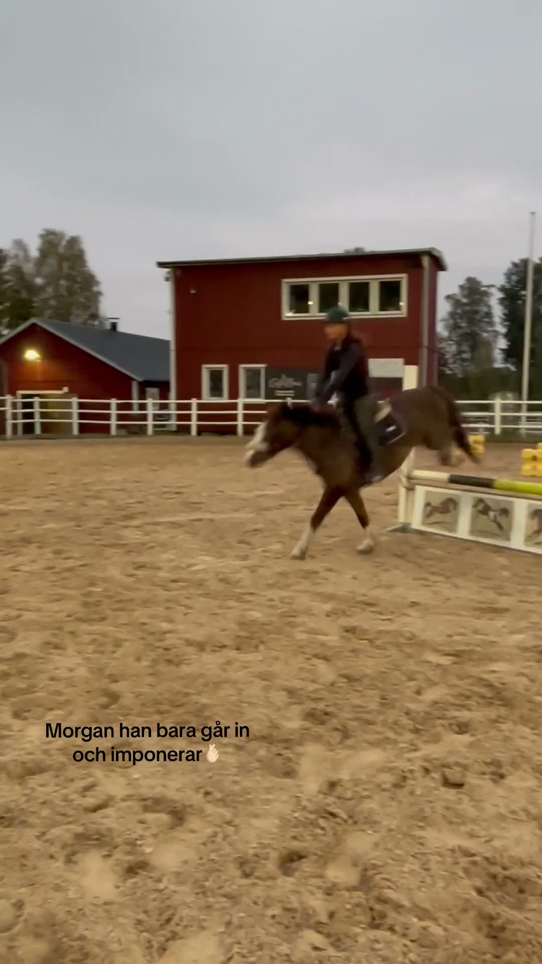 Allround hästar sökes: Jag söker medryttarhäst i Norrköping! i Norrköping - Video 2