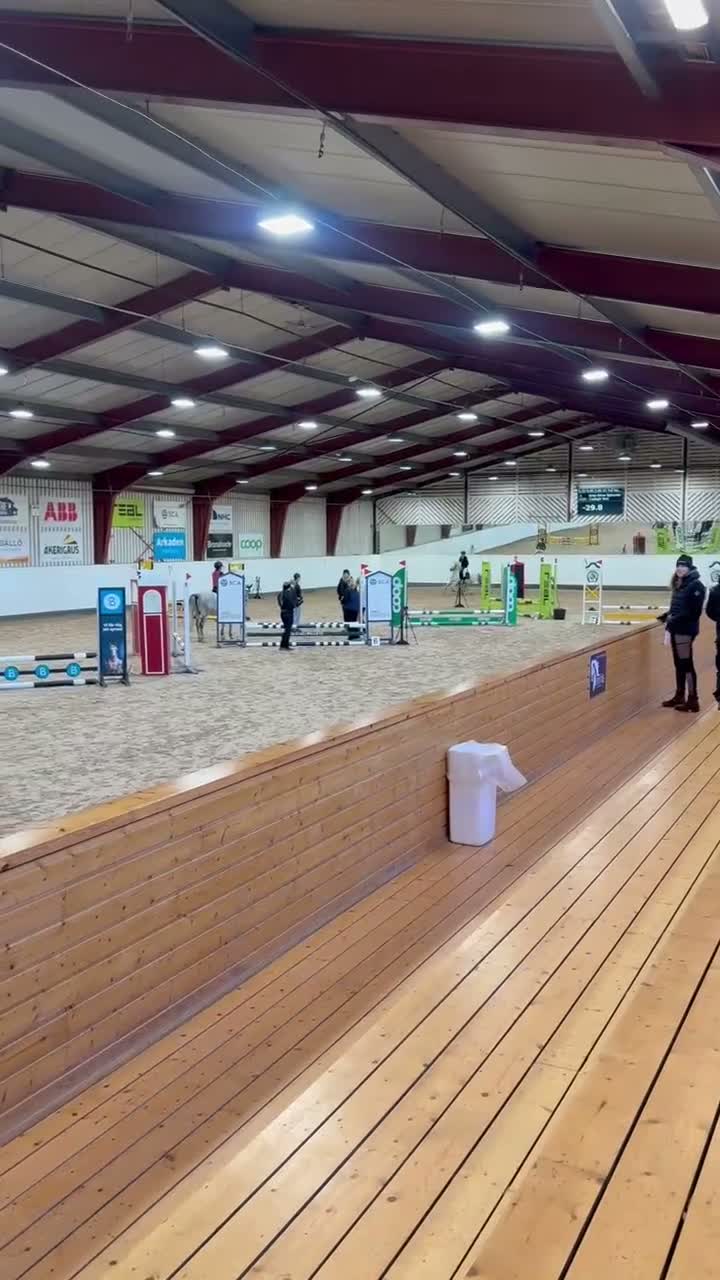 Hoppning hästar till salu: Maxat B-ponnysto - Video 2
