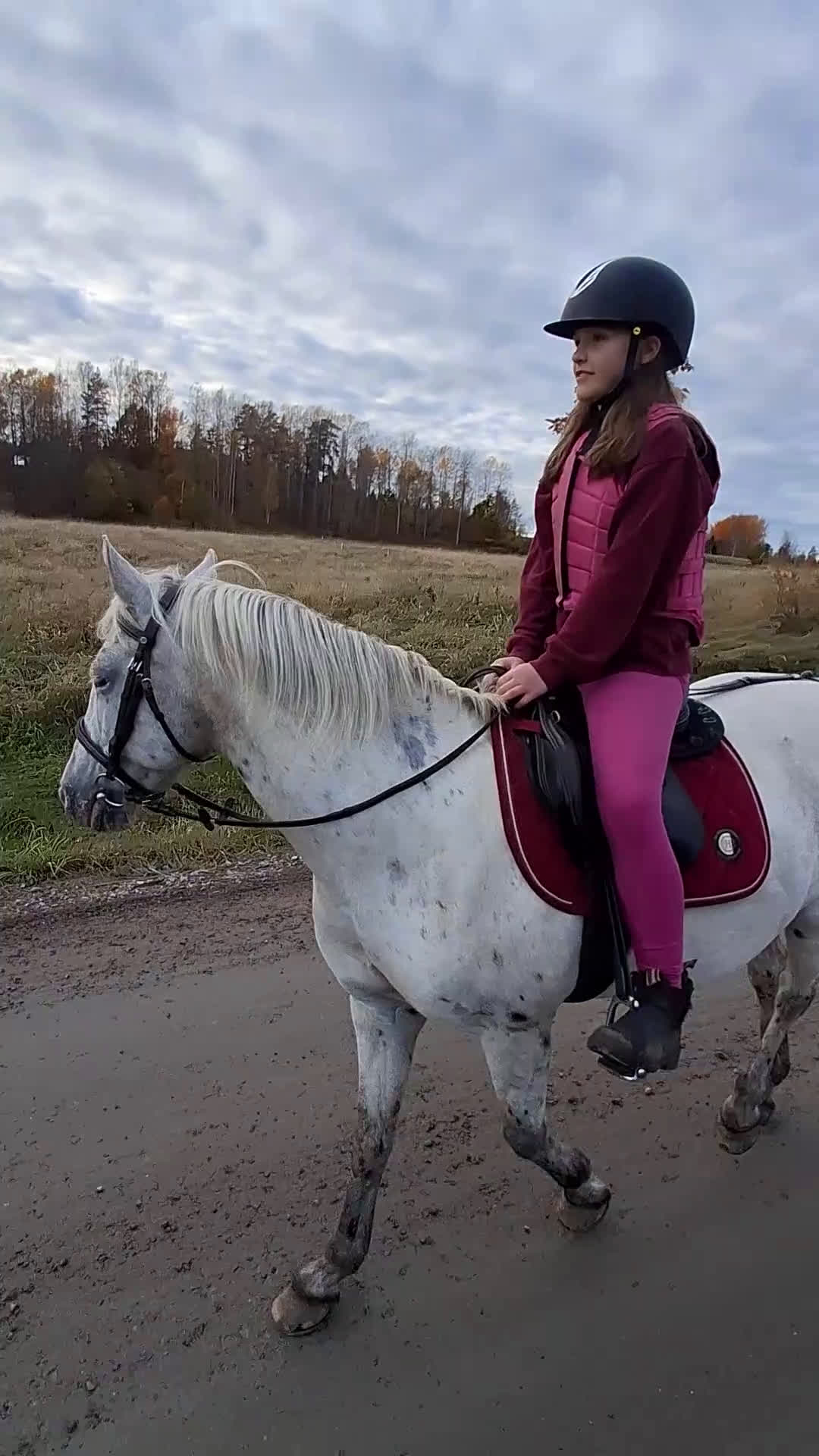 Allround hästar till salu: Hobby ponny - Video 1