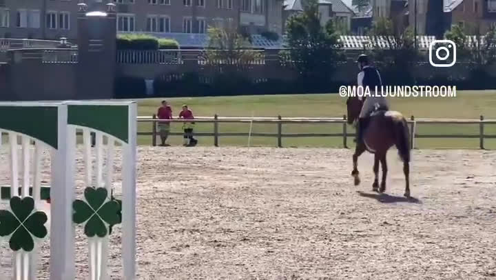 Hoppning hästar till salu: Fint sto till salu!  i Vellinge - Video 3