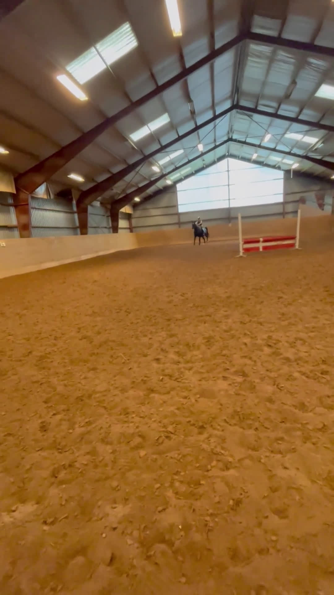 Allround hästar till salu: Gentleman till salu! - Video 1