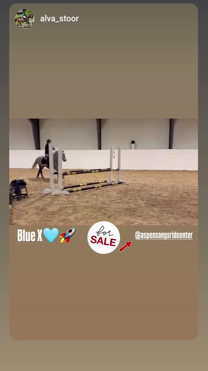 Allround hästar till salu: Drömponny! i Lindesberg - Video 2