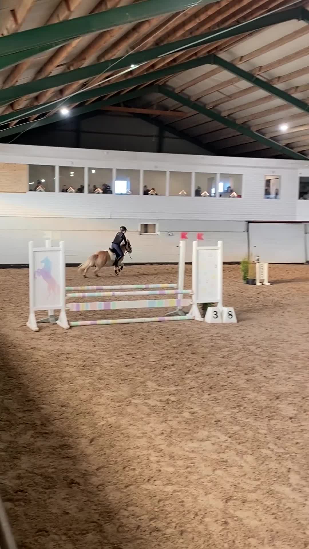 Hoppning hästar till salu: Hoppglad c-ponny  - Video 1