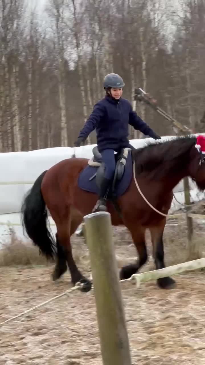 Övrigt hästar till salu: kallblodssto till salu - Video 1