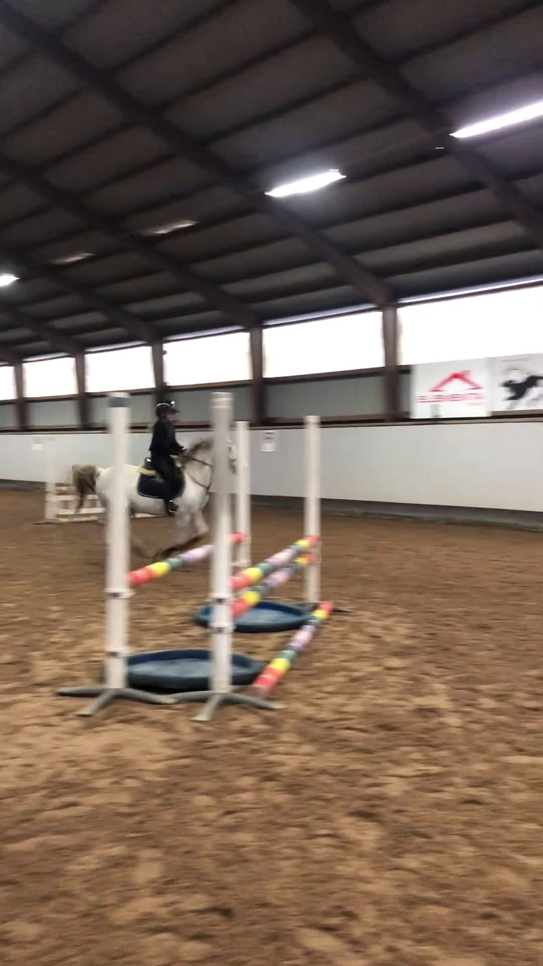 Hoppning hästar till salu: Kvalitetsponny  i Vellinge - Video 2