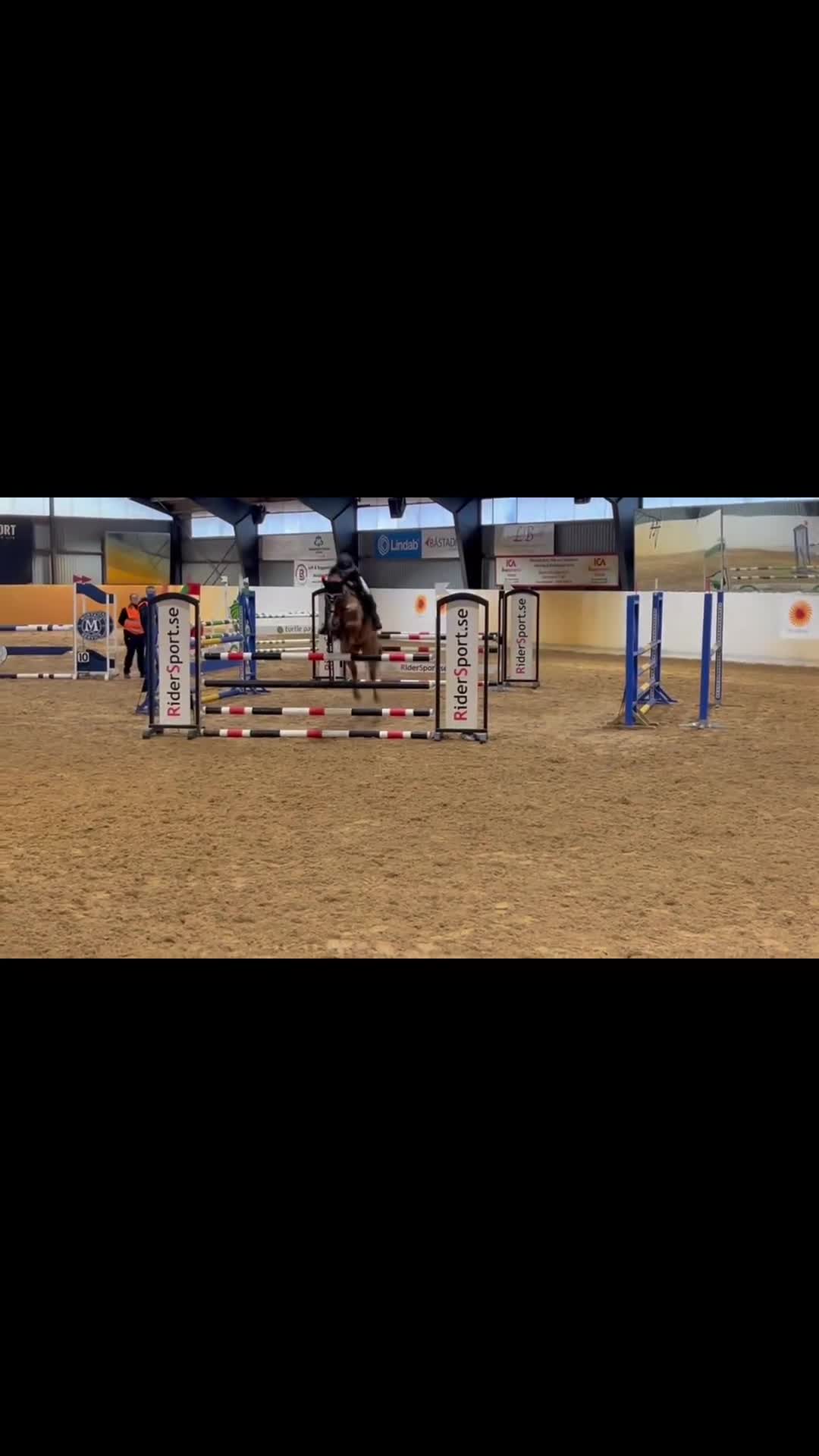 Hoppning hästar till salu: En diamant till ponny - Video 1