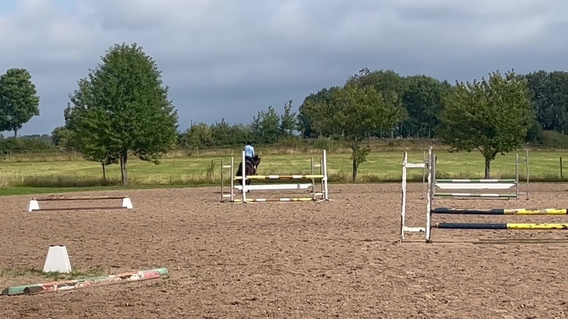 Allround hästar till salu: Trevlig valack - Video 1