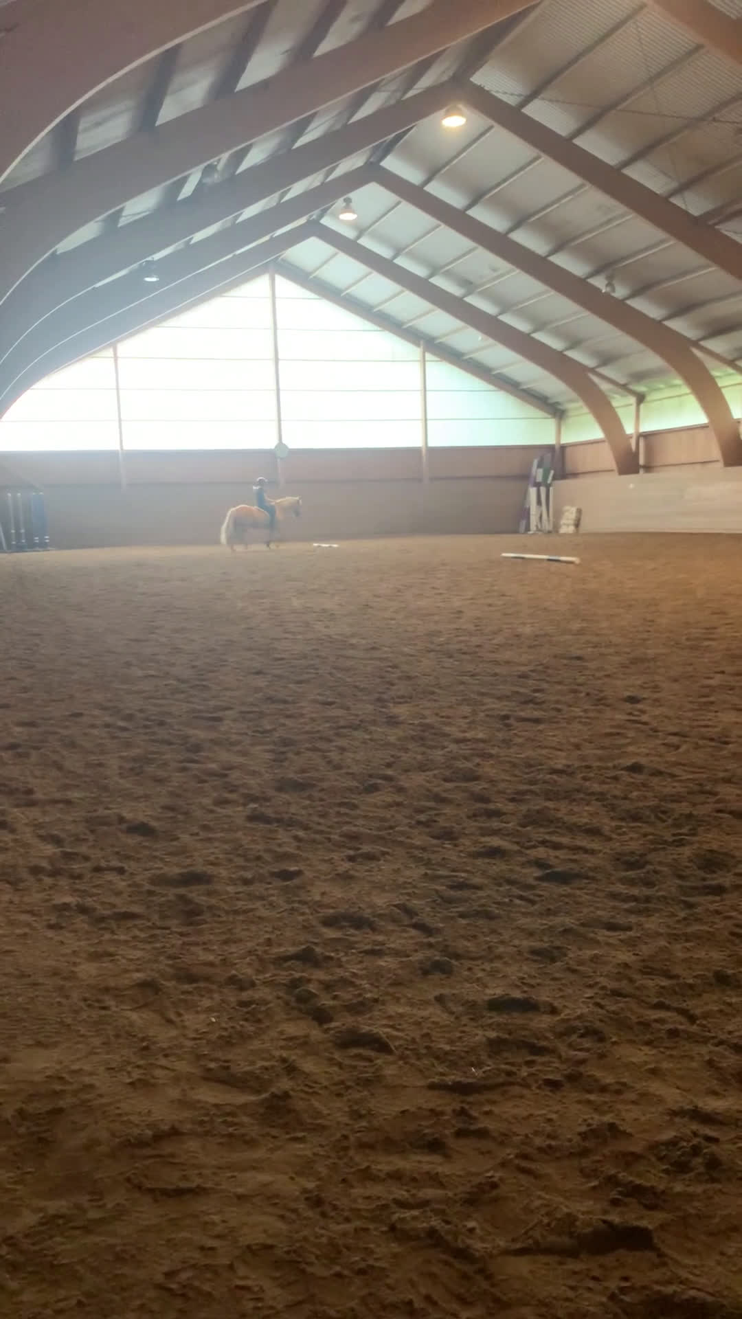 Allround hästar till salu: Gyllene Morganvalack i Vallda - Video 2