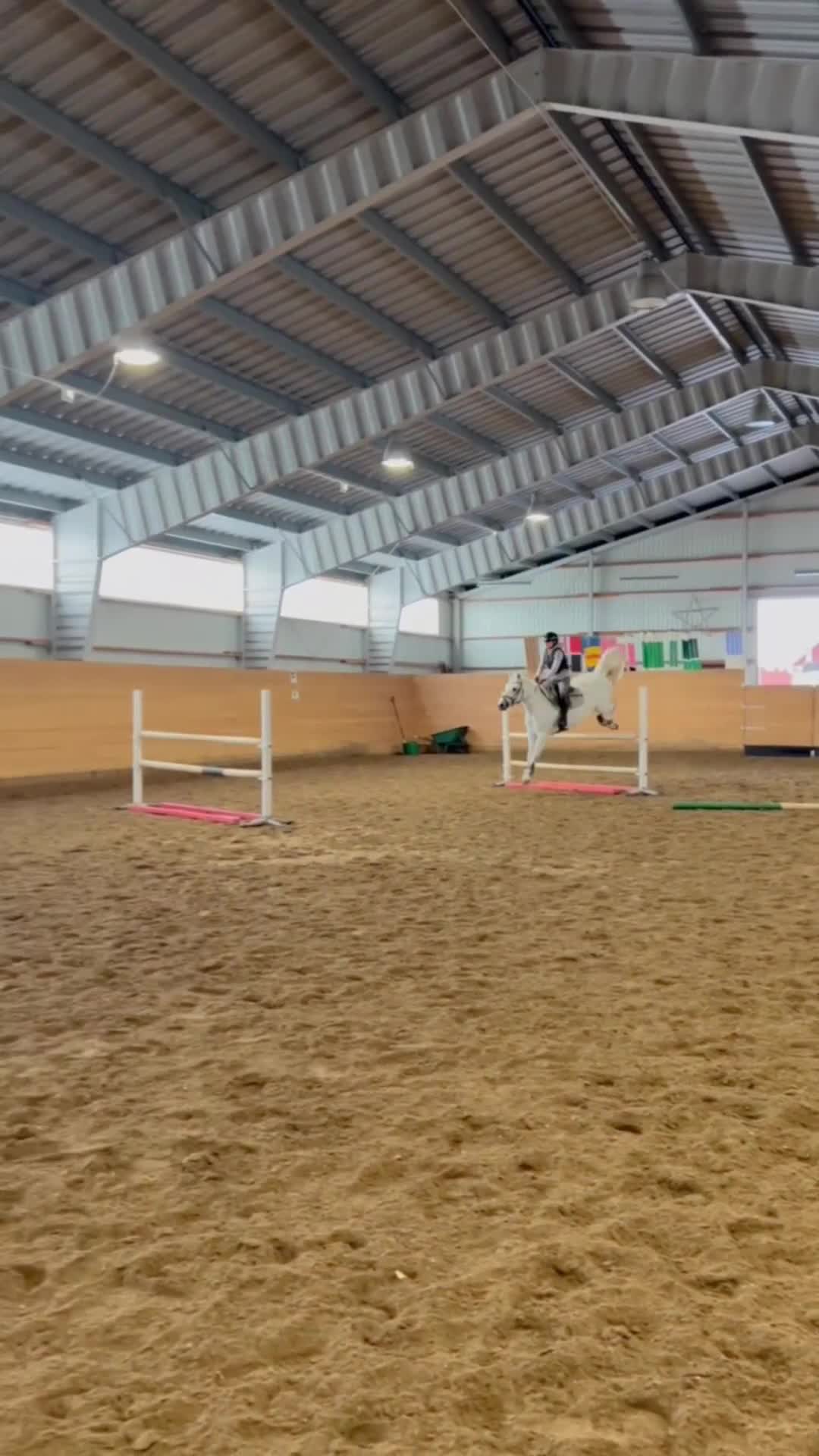 Hoppning hästar till salu: ⭐️Ponny med hjärtat på rätt ställe⭐️ - Video 1