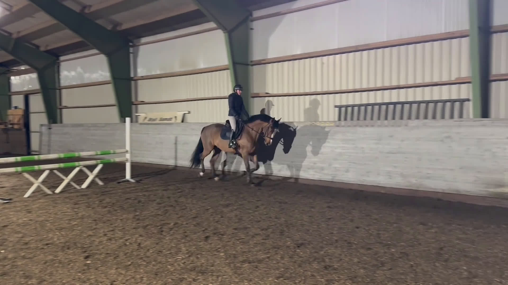 Allround hästar till salu: Snygg valack i Hindås - Video 2